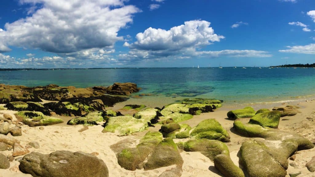 panorama vers cap coz à la forêt fouesnant finistère