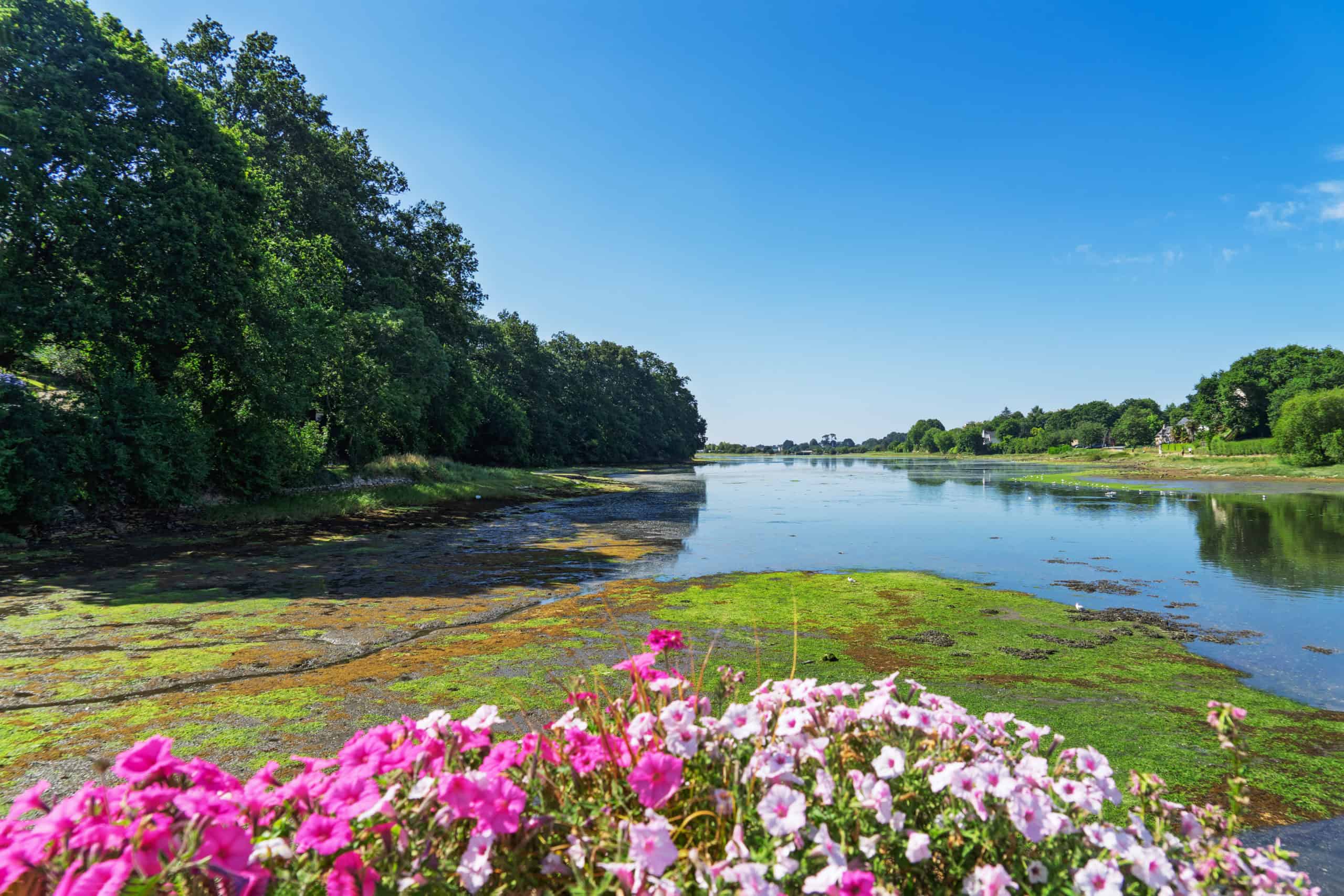 ria de la forêt fouesnant à marée haute sous un ciel bleu éclatant. devant, fleurs roses et blanches en jardinières ornent le paysage.