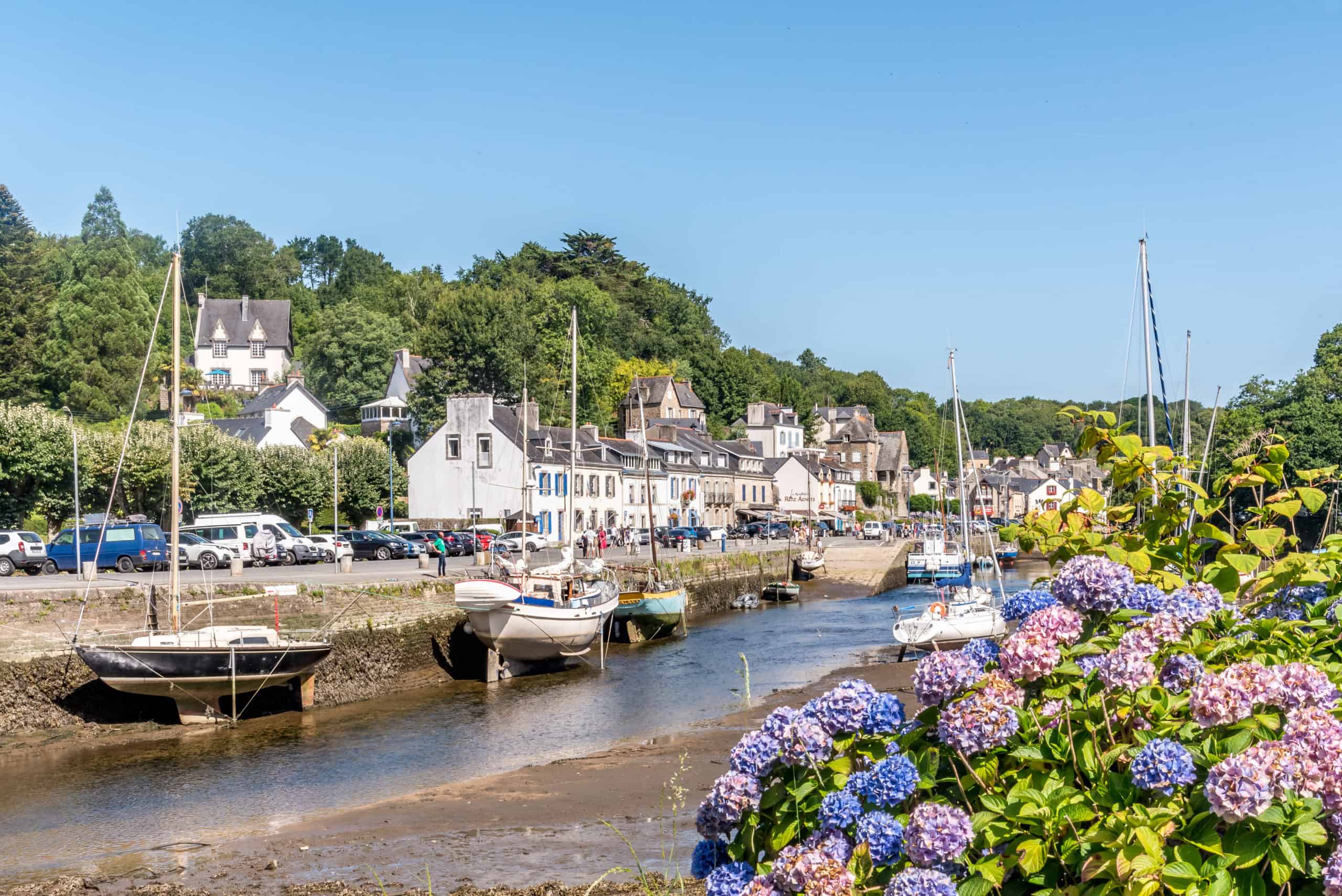 hortensia à pont aven